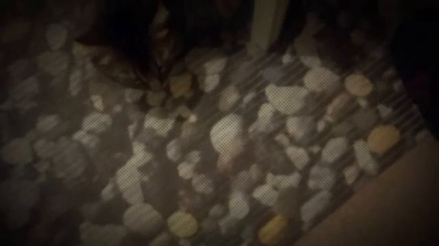 Боится миксера смотреть онлайн