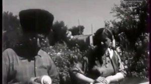 Даку Асалулаев