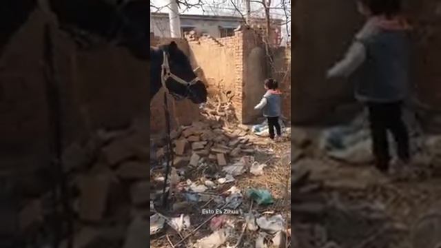Верным будут,если ты сам будешь верным другом :) смотреть онлайн
