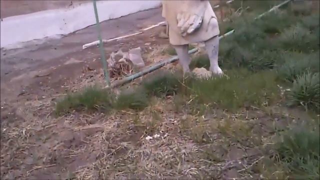 Скульптура у 34-го цеха , Химпром им. Кирова (Волгоград) смотреть онлайн