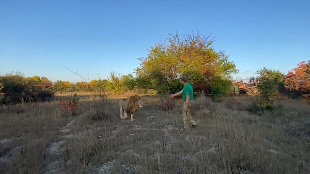 Лев Чук не в себе! Ищем его девушку) смотреть онлайн