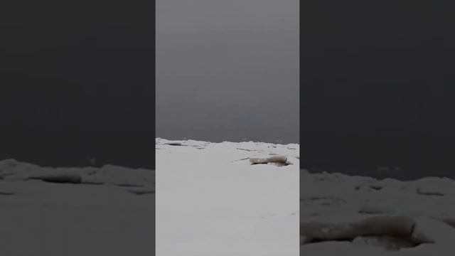 Балт. Море 2 часть. смотреть онлайн