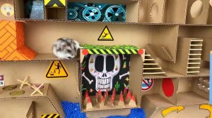 Хомяки в лабиринте