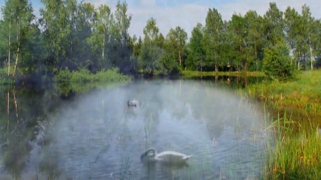 ЛЕБЕДИНАЯ НЕЖНОСТЬ.avi смотреть онлайн