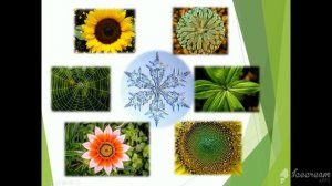 6 класс Математика Симметрия относительно точки