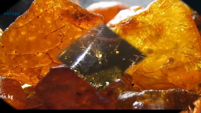 янтарь балтики смотреть онлайн