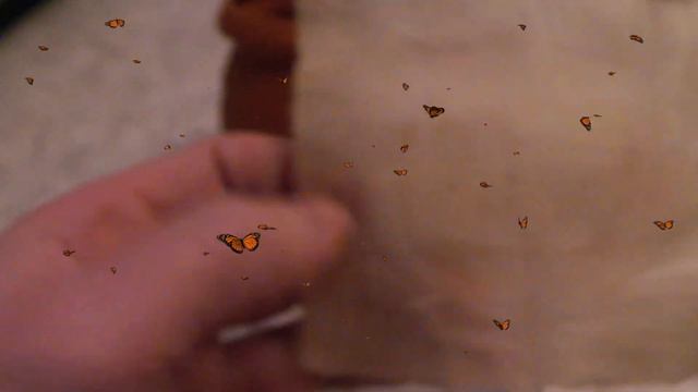 SALE VIDEO AVITO 2700695967 Глиняный горшочек для хранения мёда смотреть онлайн