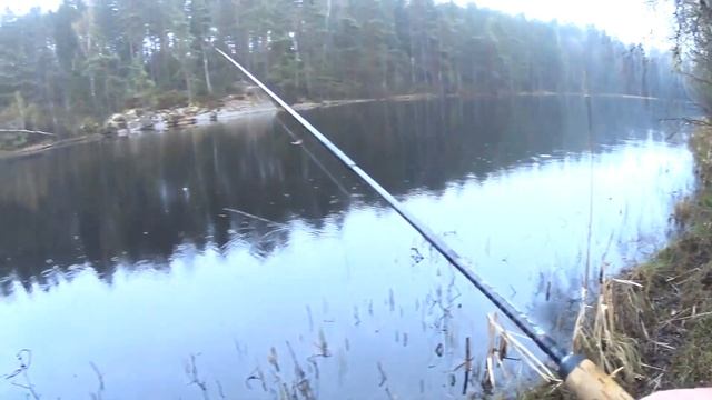 Рыбалка и разведка дикого лесного озера в Швеции. смотреть онлайн