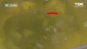 «Проверка» ТВК: красноярский ресторан «Папа Михо»