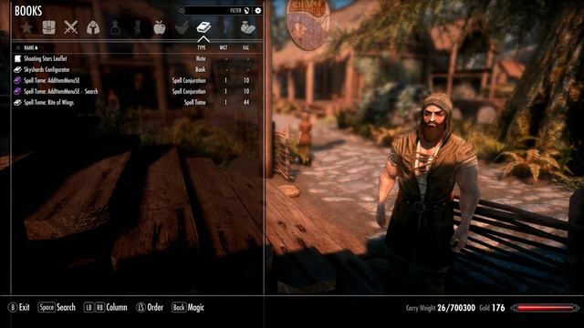 Skyrim Quality Of Life Improvement Mod: AddItemMenu NG