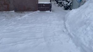 Купила аккумуляторный СНЕГОУБОРЩИК! И что из этого вышло??? РЕАЛЬНЫЙ опыт, тест GreenWorks GD40ST