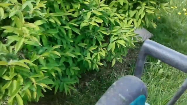 Триммер Вosch Art 24+ . #обзор #триммеры #trimmer #bosch