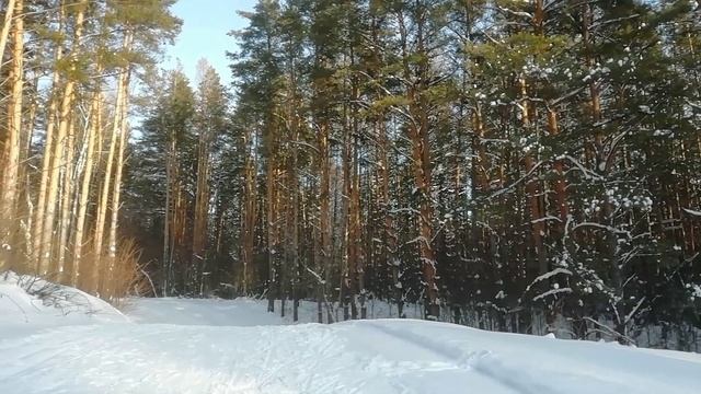 Бешенный козёл. Зачем мне всё это. смотреть онлайн
