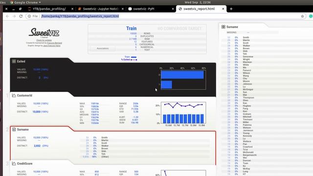 Sweetviz Python | Quick EDA | Better than pandas profile | Don't use pandas profile | смотреть онлайн