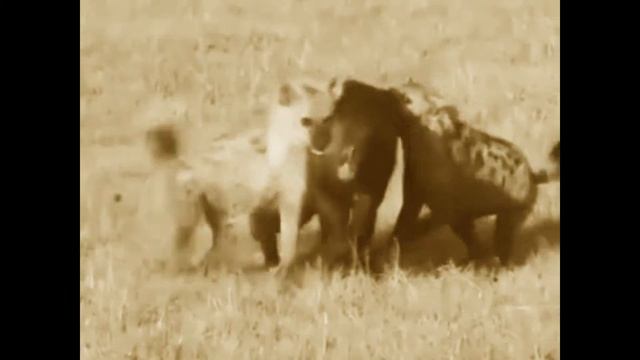 Ничего личного - просто бизнес... смотреть онлайн