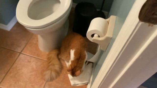 He Is Always Up To Something ? смотреть онлайн