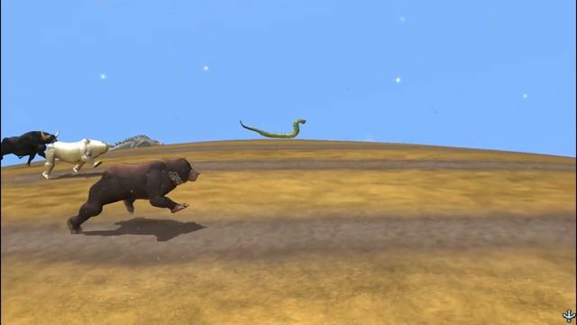 Animal Wild Race | Beast Face-off [S1] | SPORE смотреть онлайн