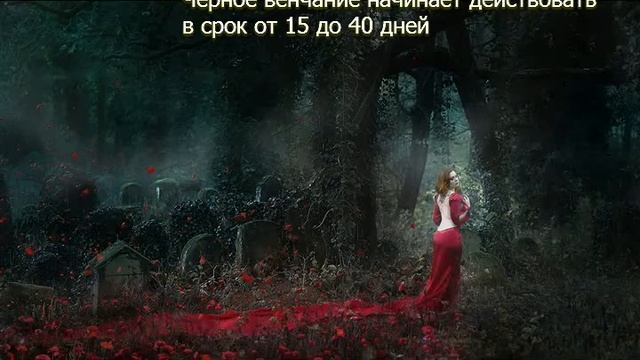 Когда начинает действовать Черное Венчание смотреть онлайн