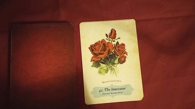 ? Oracle of the Roses 3 in 1 Walkthrough Flip Through and First Impressions? смотреть онлайн