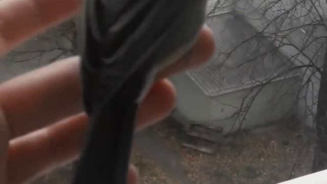 bird in the house / Птичка смотреть онлайн