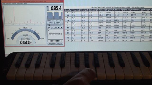 Проверка мелодики Swan SW37J-3-BK (Swan 37 Keys Melodica)