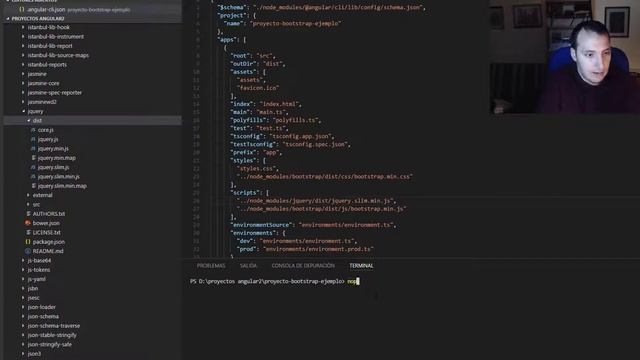 Angular - Instalar bootstrap 3 смотреть онлайн