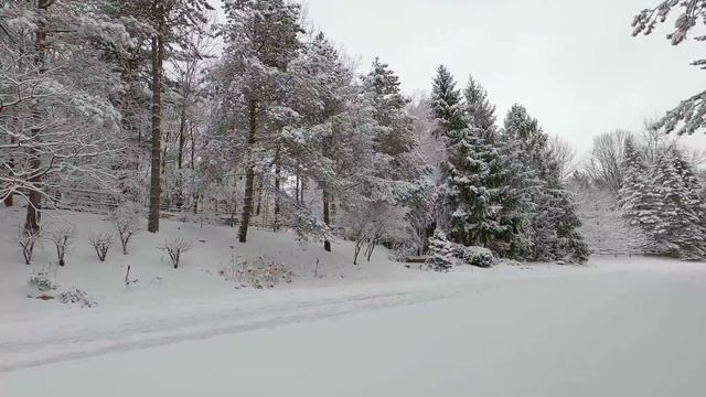 Winter Snow Walk in Countryside after Snow Storm Winter Ambient Scenes to Relax and Calm down 4K смотреть онлайн