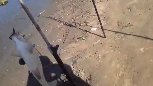 рыбалка река кигач смотреть онлайн