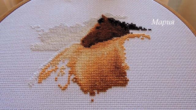 Золотое руно. Туманное Утро. Отчет 1 смотреть онлайн