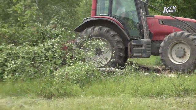 Вовлечение заброшенных и заросших земель в сельскохозяйственный оборот в Зарайске. смотреть онлайн