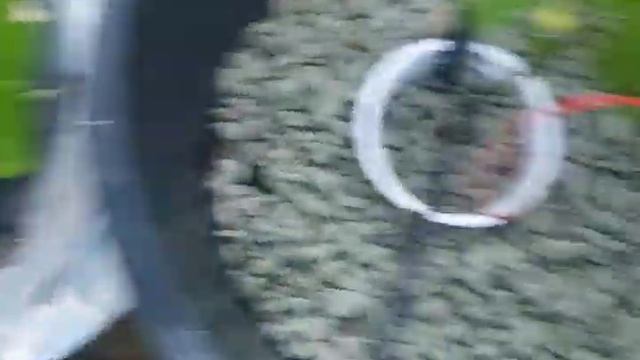 первые завязи помидор и перцеа смотреть онлайн