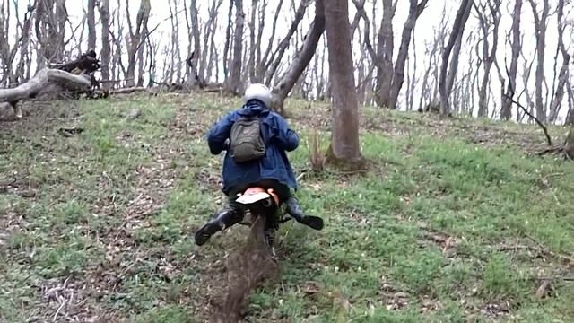 Покатушка на Kayo в леса Куматыря и Семигорья, весна смотреть онлайн