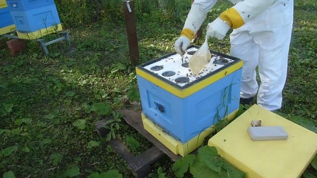 Формируем семьи в зиму смотреть онлайн