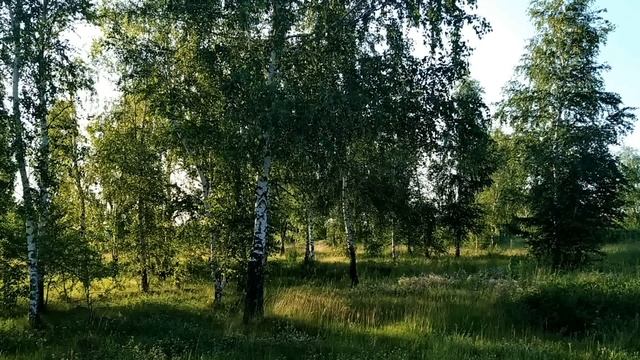 12 июня.ДЕНЬ СВЯТОЙ ТРОИЦЫ.Что можно и что нельзя делать.Старые традиции.Приметы смотреть онлайн