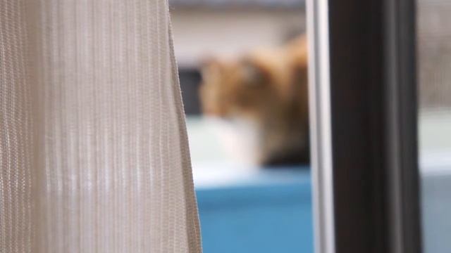 SONY NEX-C3 動画撮影 ピン送りのテスト смотреть онлайн
