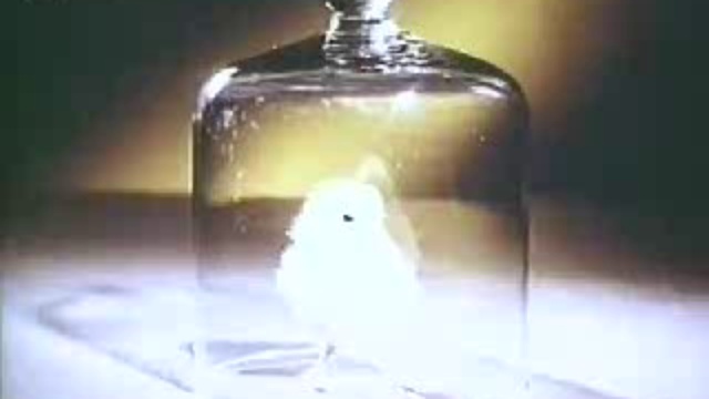 Тайны природы - Язык животных смотреть онлайн