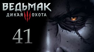 The Witcher 3 / Ведьмак 3 - Вопросики ч.1 - Прохождение игры на русском [#41] | PC (2017 г.)
