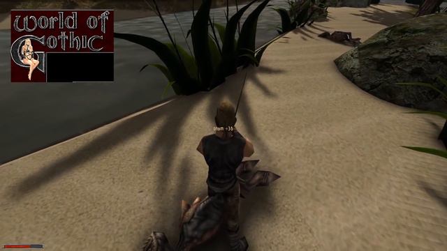 Серия Gothic и Gothic 1 Remake. Интервью С Директором THQ Nordic и Alkimia Interactive О Готике
