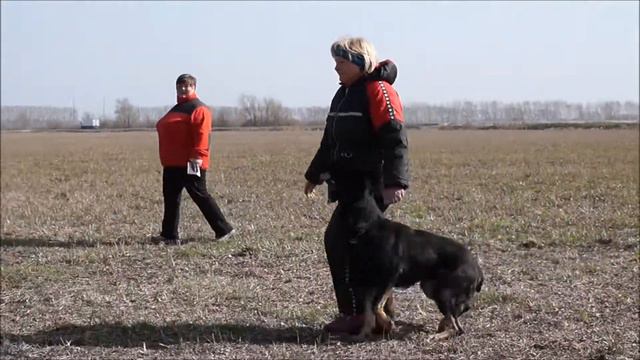 Рой, схема ВН смотреть онлайн