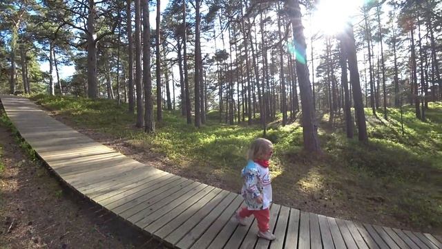 Plieņciems - šūpoles un ziedputekšņi jūrā смотреть онлайн