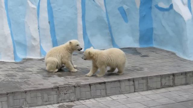 Подкрепились можно и поиграть 31.05.2019 смотреть онлайн