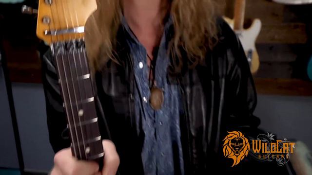 WildCat Guitars Diamonds In The Rough Fender CS Alley Cat Strat Relic HSS Floyd Rose 3-Tone Sunburs смотреть онлайн