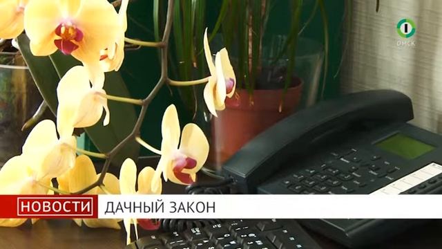 Сюжет "Дачный закон" смотреть онлайн