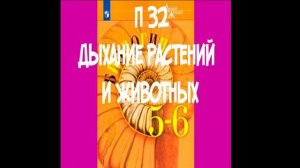 П 32 ДЫХАНИЕ РАСТЕНИЙ И ЖИВОТНЫХ / КАК ДЫШАТ РАСТЕНИЯ / КАК ДЫШАТ ЖИВОТНЫЕ / 5-6 КЛАСС