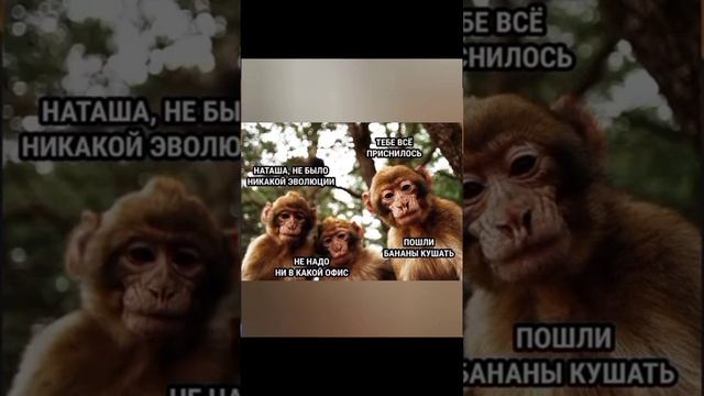 сто должностей одна тарелка глубокая приколы с озвучкой ? смотреть онлайн