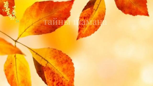 Заговор на удачу в любви смотреть онлайн