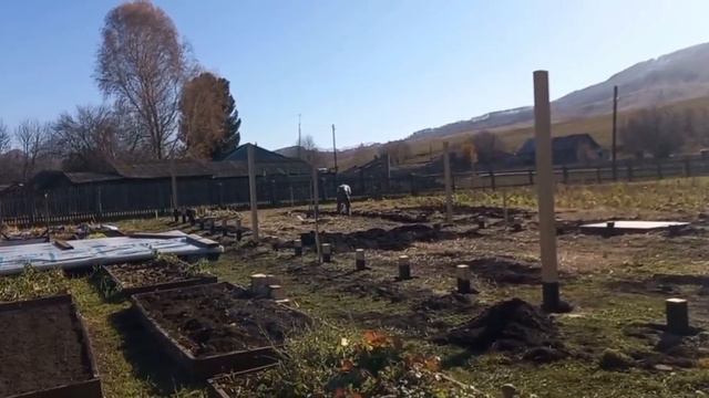 Шикарная осень на Алтае. Побили рекорд, выкопали картошку 21 октября. Сажаю клубнику в октябре. смотреть онлайн
