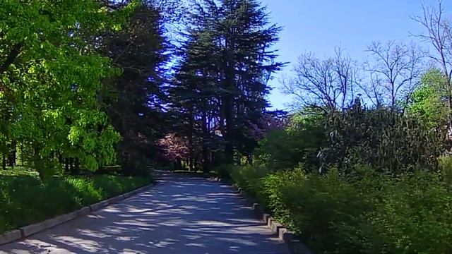 #Симферополь ЦВЕТЕНИЕ САКУРЫ. ЛАБИРИНТ.ЦВЕТОЧНЫЙ РАЙ.Ботанический сад им.Н.В. Багрова.#прогулкаобзо смотреть онлайн