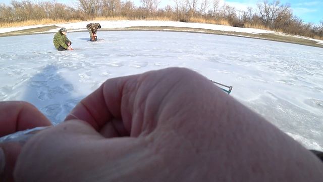 Тесто или мотыль? На что лучше клюет. смотреть онлайн