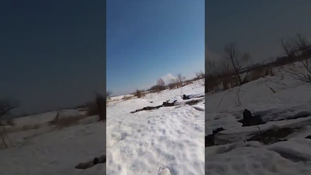 Дача 260322 2 смотреть онлайн